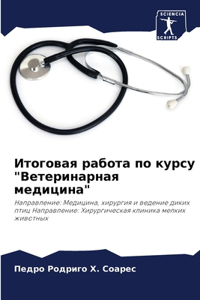 Итоговая работа по курсу 