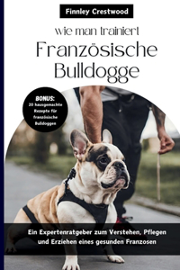 wie man trainiert Französische Bulldogge