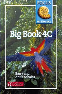 Big Book 4C