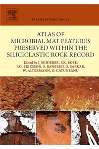 Atlas of Microbial Mat Features Preserved Within the Siliciclastic Rock Record