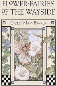 Flower Fairies of the Wayside