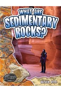 What Are Sedimentary Rocks?