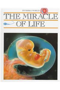 Miracle of Life