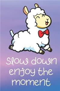Slow Down Enjoy The Moment