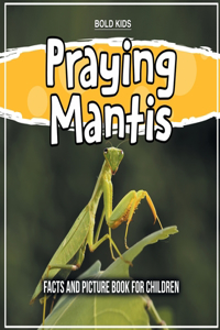 Praying Mantis