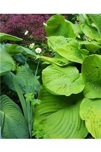 School Composition Book Summer Hosta Daises