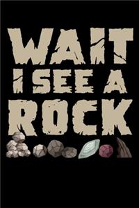 Wait I See a Rock