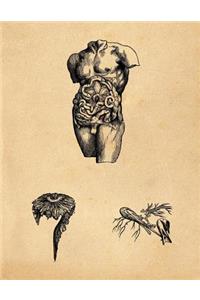 Anatomy Notebook