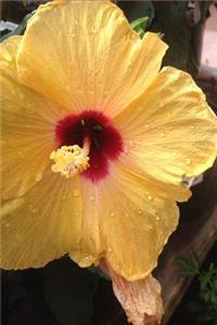 Yellow Hibiscus Flower Notebook