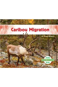 Caribou Migration