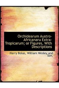 Orchidearum Austro-Africanaru Extra- Tropicarum; Or Figures, with Descriptions