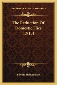 Reduction of Domestic Flies (1913)