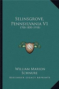 Selinsgrove, Pennsylvania V1
