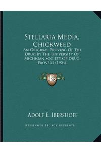 Stellaria Media, Chickweed