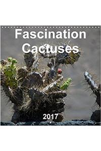 Fascination Cactuses 2017