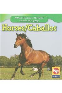Horses / Los Caballos