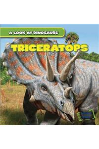 Triceratops