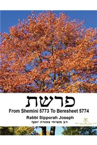 From Shemini 5773 to Beresheet 5774