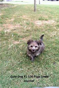 Cute dog #1