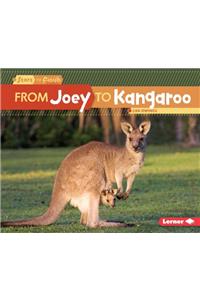 From Joey to Kangaroo