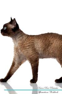 Devon Rex Affirmations Workbook Devon Rex Presents