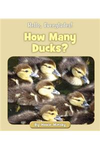 How Many Ducks?