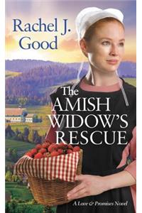 Amish Widow's Rescue