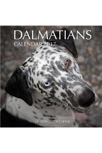 Dalmatians Calendar 2017