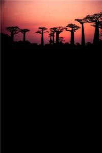 Field of Baobab Trees in Madagascar Journal: 150 Page Lined Notebook/Diary