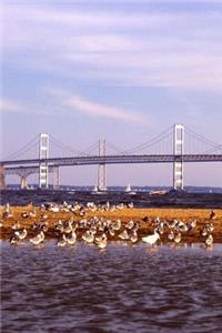 Travel Journal Chesapeake Bay Bridge Seagulls Water Sailboat