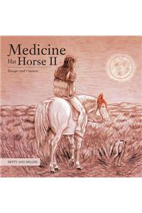 Medicine Hat Horse Ii