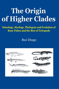 Origin of Higher Clades