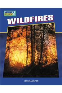 Wildfires