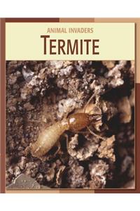 Termite