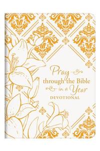 Pray Through the Bible in a Year Devotional