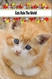 Cats Rule The World