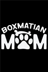 Boxmatian Mom