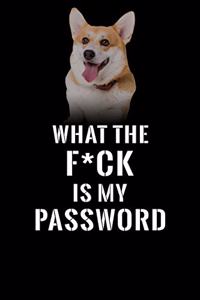 What The F*CK Is My Password, Pembroke Welsh Corgi