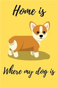Home is Where My Dog is