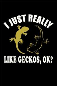 I Just Really Like Geckos, Ok?