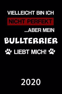 Bullterrier 2020