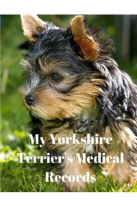 My Yorkshire Terrier's Medical Records
