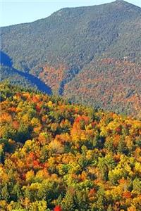 Fall 2019 Daily Planner Pretty Mountain Foliage 384 Pages