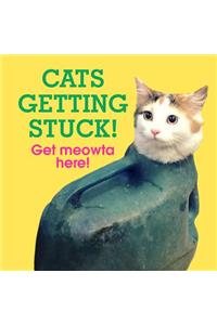 Cats Getting Stuck!