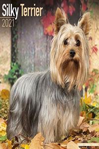 Silky Terrier 2021 Wall Calendar