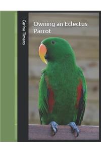 Owning an Eclectus Parrot