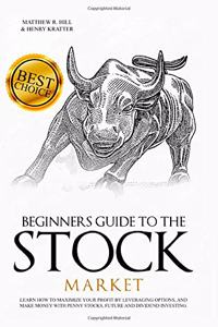 Beginners Guide to the Stock Market