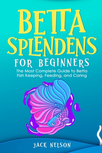 Betta Splendens for Beginners