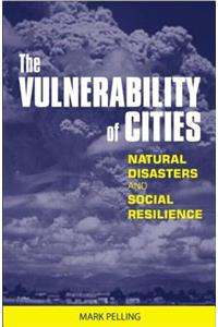 The Vulnerability of Cities