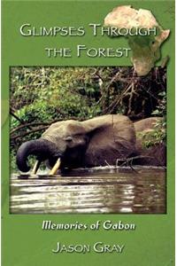 Glimpses through the Forest